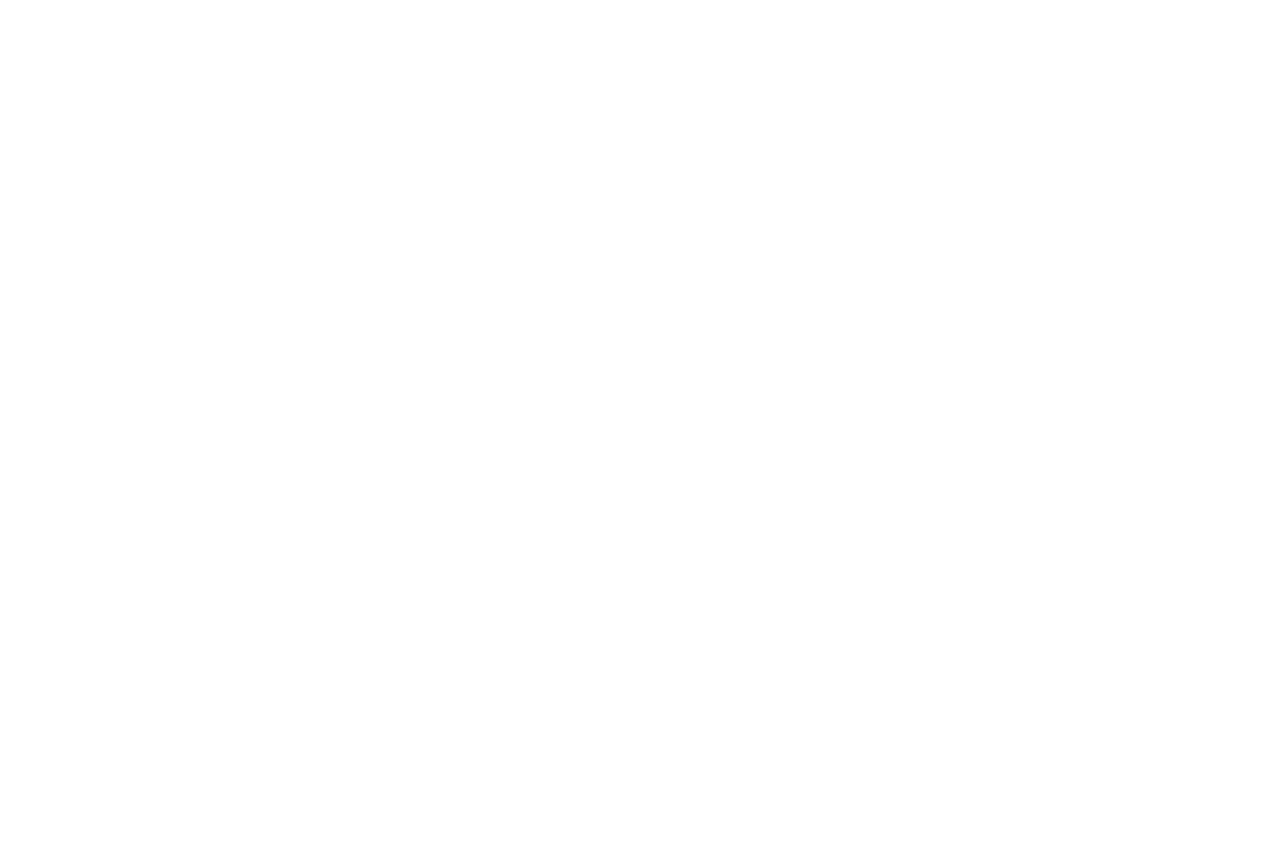 NetzDevs Logo in Weiß